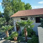 Golden Oasis *