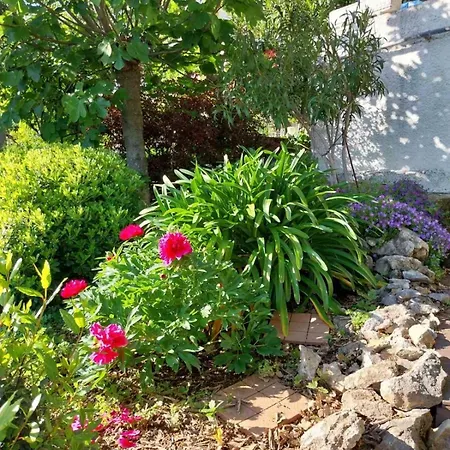 Golden Oasis Casa vacanze *