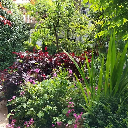 Ferienhaus Golden Oasis *