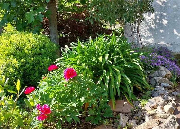 Golden Oasis Holiday home *